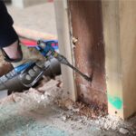 Home Termite Control Tips to Prevent Costly Damage