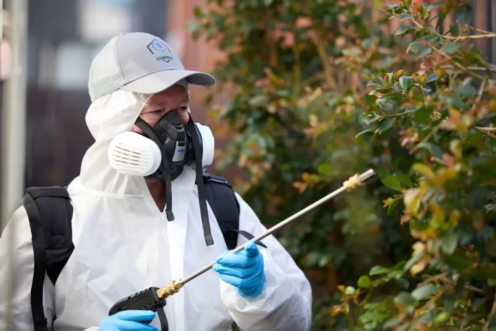pest control sydney