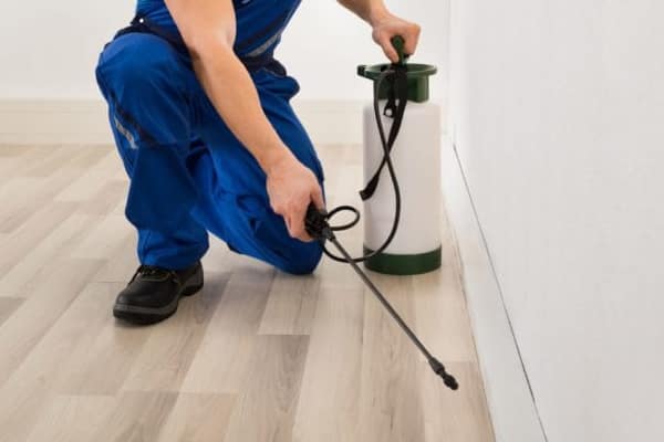pest control Sydney