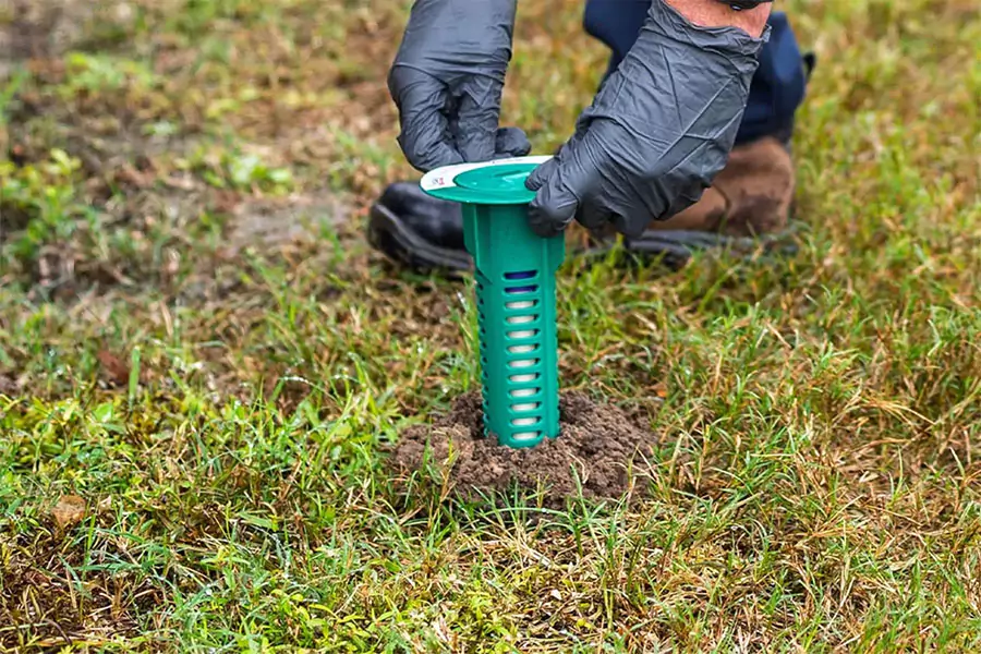 termite control