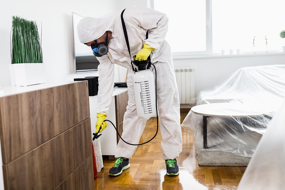 pest inspection sydney
